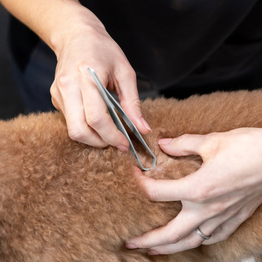Tick Removal Tweezer